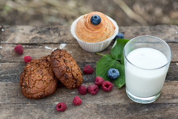 Natural yogurt with fresh berries and biscuit. copy space.