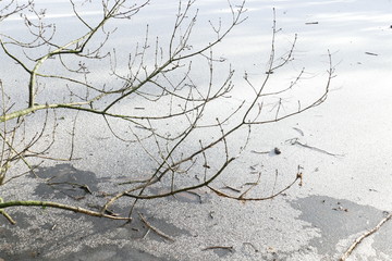 Eisfläche auf einem zugefrorenen See