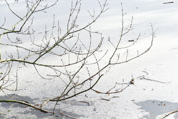 Eisfläche auf einem zugefrorenen See
