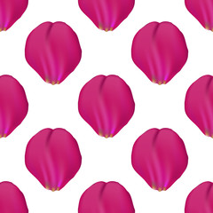 rose color petals seamless pattern on white background, vector illustration