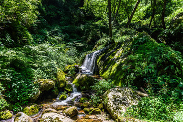 Turquoise blue waterfall in the Great Himalayan National Park also known as GHNP. GHNP is the UNESCO world heritage site & a protected wildlife sanctuary.