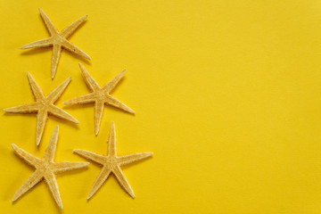 Fototapeta na wymiar Summer background of yellow paper with starfish, symbolizing the