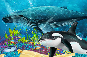 Fototapeta na wymiar cartoon scene with whale and killer whale near coral reef - illustration for children