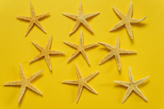 Summer background of yellow paper with starfish, symbolizing the