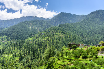 Fototapeta na wymiar Villages of Lush green Tirthan Valley in Himachal Pradesh, India
