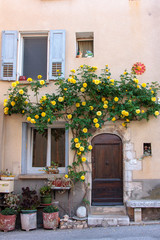 Fototapeta na wymiar Quinson France 10-15-2018. Facade of an old house with a yellow rosebush.