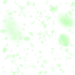 Fototapeta premium Green flower petals falling down. Fresh romantic f