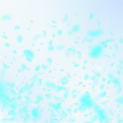 Turquoise flower petals falling down. Popular roma
