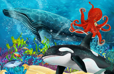 Plakat cartoon scene with whale and killer whale and octopus near coral reef - illustration for children