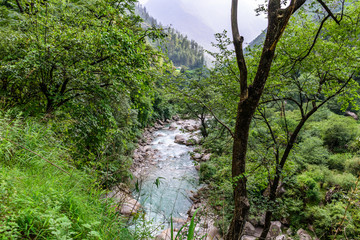 The lush green Tirthan valley & turquoise water flowing through the Great Himalayan National Park.