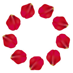 red color petals round pattern frame design on white background, vector illustration