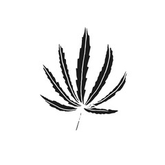 Naklejka na ściany i meble cannabis leaf vector doodle sketch isolated on white background