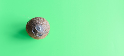 top view fresh coconut isolated on green background with copy space