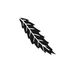 leaf vector doodle sketch isolated on white background