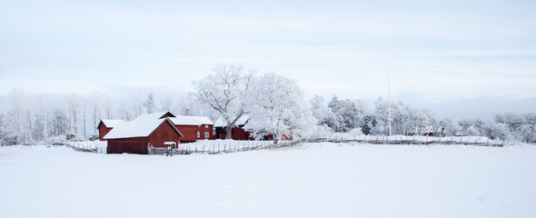 Farm barn and house in a cold winter landscape with snow and frost - 246162034