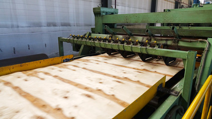 Shop for the production of plywood. Processing of business wood. Woodworking industry.
