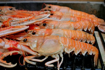 Shrimp. Spanish food to paella