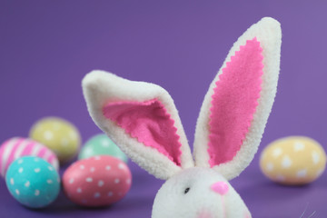 Easter background. On the right are the Easter Bunny's ears and hand-painted colored eggs on the purple background behind it. Cropped shot, close-up, horizontal, blurred, empty space. Easter concept.