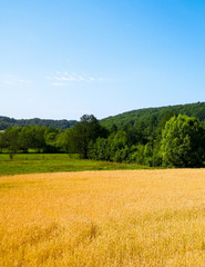 Landscape of field and hills of Wiezyca, Kashubian region in Poland.