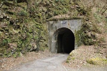 Fototapeta na wymiar 鋸山林道の神戸隧道