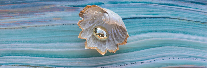 decorative seashell with pearls on the sea background