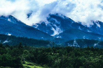 Photo depicting beautiful a foggy mystic mountains. Fog clouds at the pine tree mystical woods, morning. Europe, mysterious alps landscape.