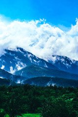 Photo depicting beautiful a foggy mystic mountains. Fog clouds at the pine tree mystical woods, morning. Europe, mysterious alps landscape.