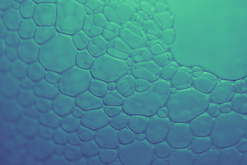 Abstract liquid with bibles and foam, blue colors, macro view.