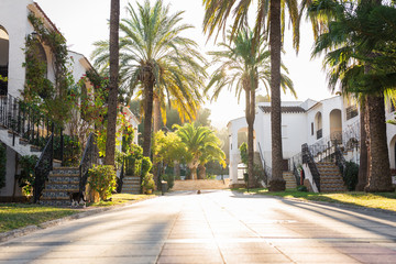 House, building and architecture concept - Street of large suburban homes in summer