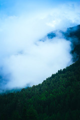 Fototapeta na wymiar Beautiful foggy mystic mountains. Fog clouds at the pine tree mystical woods, morning. Europe, mysterious alpine landscape.