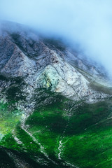 Beautiful foggy mystic mountains. Fog clouds at the pine tree mystical woods, morning. Europe,...