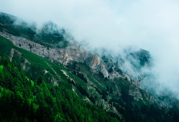 Obraz premium Beautiful foggy mystic mountains. Fog clouds at the pine tree mystical woods, morning. Europe, mysterious alpine landscape.