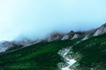 Beautiful foggy mystic mountains. Fog clouds at the pine tree mystical woods, morning. Europe, mysterious alpine landscape.
