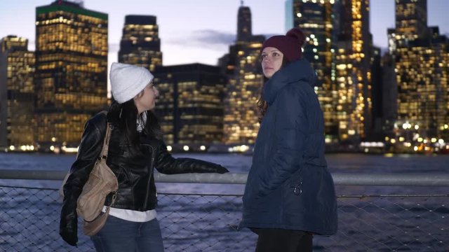 Two friends travel to New York for sightseeing
