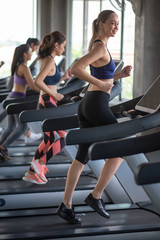 Fototapeta na wymiar Group of women running on treadmill in gym.