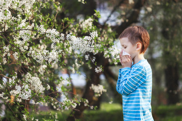 Boy sneezes in the park against the background of a flowering tree because he is allergic . - obrazy, fototapety, plakaty