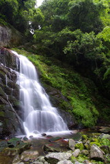 Fototapeta premium 滝（waterfall）