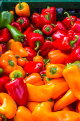 Frische Chillischoten in einer Gemüsekiste am Marktstand