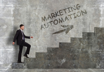 Business, technology, internet and networking concept. A young entrepreneur goes up the career ladder: Marketing automation