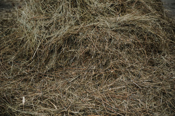 hay is lying on the ground 