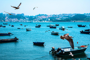 Fototapeta na wymiar Fishing boats on the Douro River. Porto. Portugal
