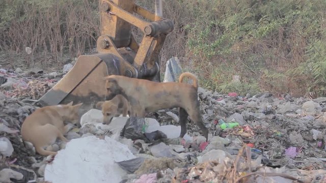 Illegal migrant worker in rubbish dump site in Mae Sot, Thailand.