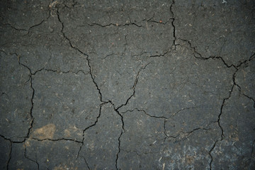 Cracks in the ground
