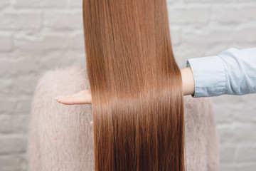 Back View. Keratin straightening, treatment, care and spa procedures. Smooth, shine hairstyle