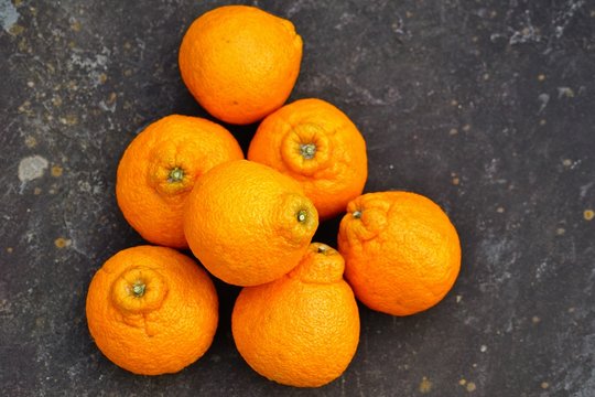 Sumo citrus giant mandarin orange fruit