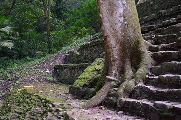 Fototapeta premium Palenque, a Maya Ancient City In Southern Mexico