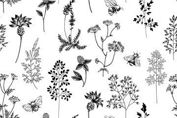 Wild flowers blossom branch seamless pattern. Vintage botanical hand drawn illustration. Spring herbal flowers with different plants of vintage garden and forest. Vector design. Can use for greeting c - 246176833