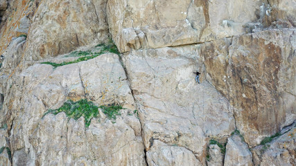 A man climbs up the cliff. Active leisure and sports. Climb up the rock. Shooting from the air. Aerial photography. Extreme, active rest, freedom. Beautiful nature, rock, wall, greenery.