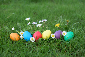 Fototapeta na wymiar Different color Easter eggs
