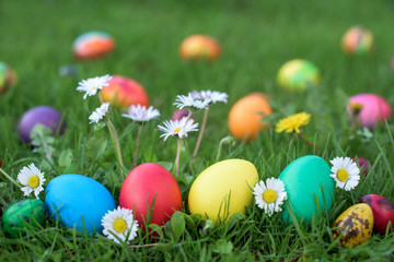 Eight hen colored Lot of colored eggs  in a grass - Easter hunt